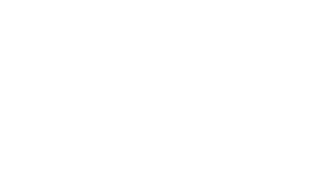 Casadei Pallets Logo