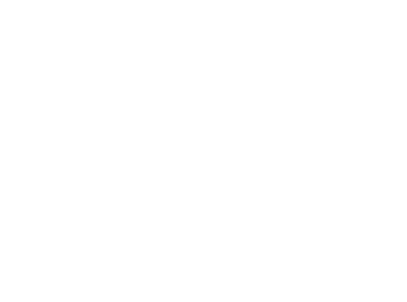 Cementisti SPA