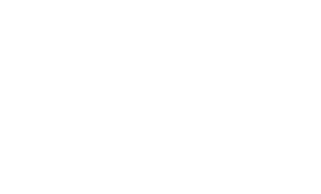 Flamigni e Rasi