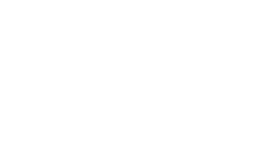 NGM Logo