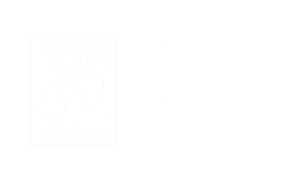 SAC Petroli
