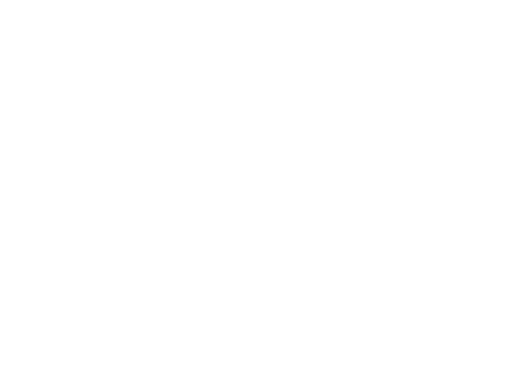 Branchetti SRL