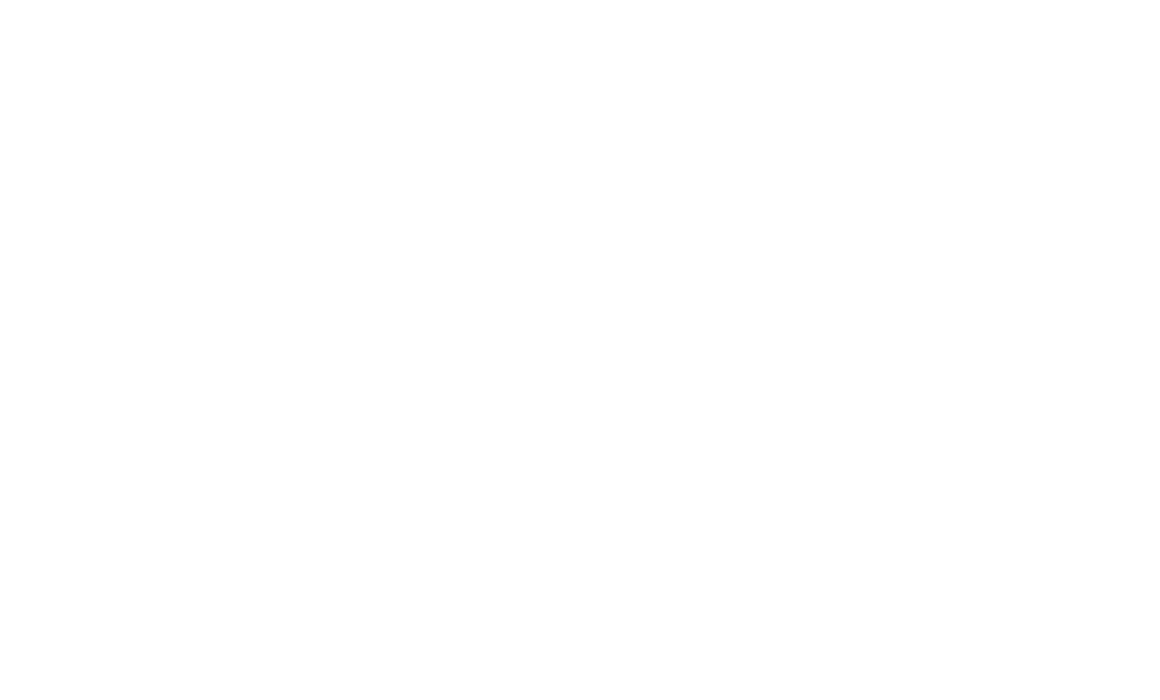 Netrising
