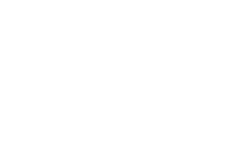 Pieri Group